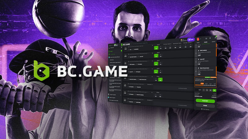 Exploring the Features of BC.Game A Comprehensive Overview